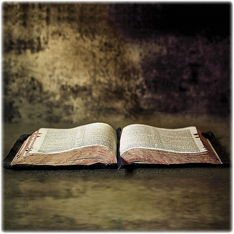 Understanding the bible stephen harris ebook